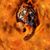 Nina Windhauser's profile image