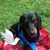 Kathy Brodd's profile image