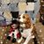 Linda Hare's profile image