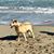 Gerri Dougherty Kaempfe's profile image