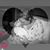 Anna Fair's profile image