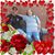 Christine McCutcheon's profile image