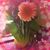 Clau Resul's profile image