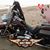 Valerie J Lillibridge's profile image