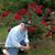 Kay Montgomery Holliday's profile image