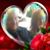 Janet Verhagen's profile image
