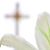Karla Meyer Williams's profile image
