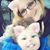 Dawn Patterson's profile image