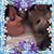 Stephanie Sue McDonald's profile image