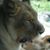 Janea Burgess's profile image