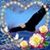Dianne D. Carrier's profile image