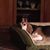 Mary Ann Struthers's profile image