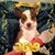 Auntie Vicki's profile image