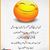 SaLma Shaheen's profile image