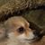 Janice Webre's profile image