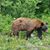 Richard Peske's profile image