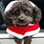 Doris Hardgrove's profile image