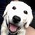 David Massin's profile image