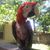 Christine Oshields's profile image