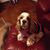 Jennifer Burch's profile image