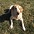 Barb Renfro's profile image