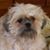 Anna Freiberg's profile image