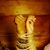 Linda Espinoza's profile image