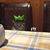 Maria Fernanda Contreras's profile image