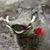 Sigrid Dreier Rinehart's profile image