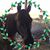 Jennifer Bedner's profile image