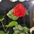 Debi Lovett's profile image