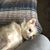 Valerie Gosselin's profile image
