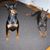 Ann Bonasera Domenicucci's profile image