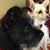 Tracy Clark-Parks's profile image
