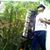 Azzi Auzium's profile image