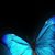 Mohammed Fakhruddin's profile image