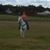 Connie Clark-Martin's profile image