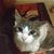 Christine Bromley Alsip's profile image