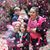 Shelly Ehret - Pfaff's profile image