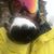 Chris Vargoshe's profile image