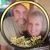 Deborah Lebeck's profile image