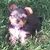 Teresa Wiley Huskins's profile image