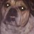 Jimmy Martin's profile image