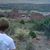 Steve Landess's profile image