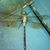 Tracie Warner Hagerty's profile image
