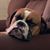 Brenda Murphy's profile image