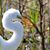 Kimberly Fulwider's profile image