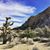 Sarah T Getter's profile image