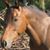 Amanda Spruell's profile image