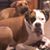 Anne Wylie's profile image